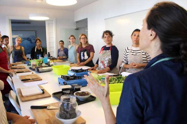 Consultoria e Mentoria