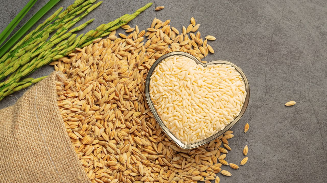 Curso de Macrobiótica Nível 3